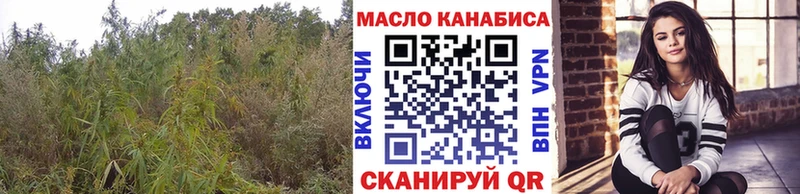 OMG зеркало  купить наркотик  Фокино  ТГК Wax 