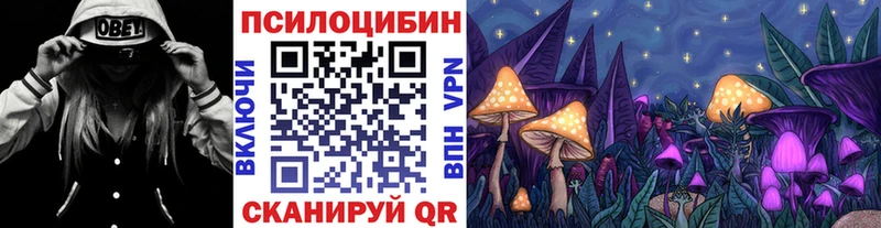 купить   Фокино  Галлюциногенные грибы GOLDEN TEACHER 