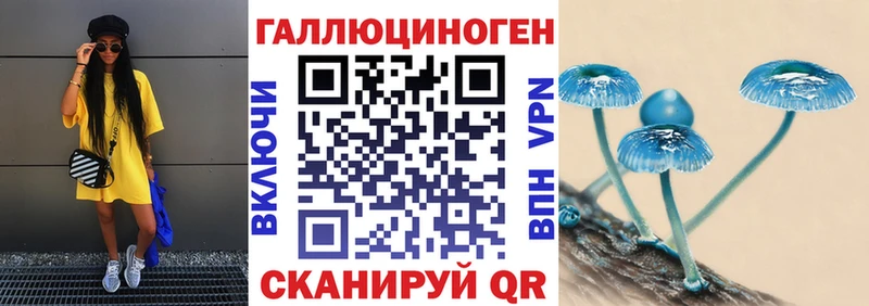Псилоцибиновые грибы GOLDEN TEACHER Фокино